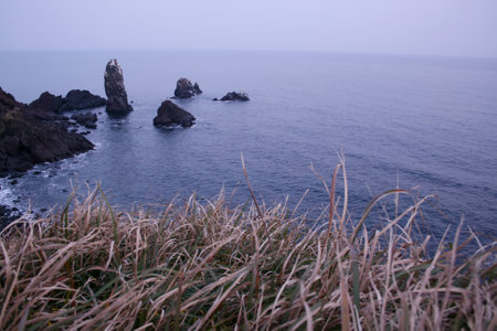 The coast of the island of Jeju in South Korea in winterの写真素材