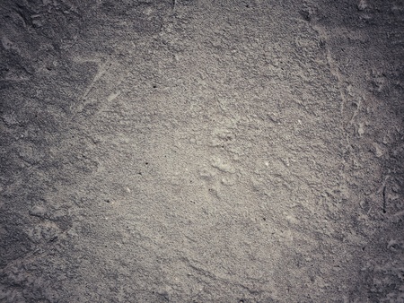 Fragment of an old concrete wal