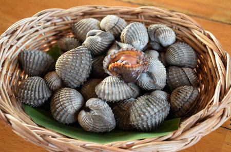 Fresh cockles casually placed on a wicker basket