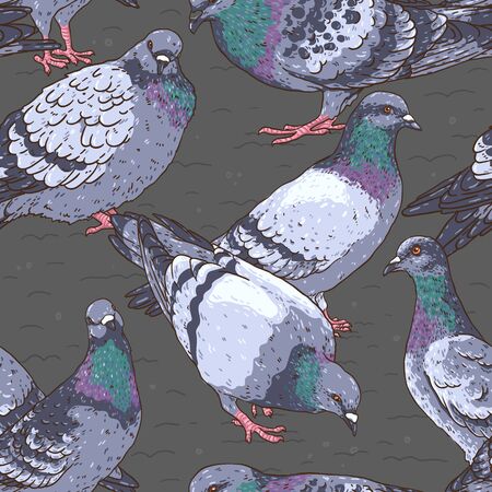 Urban pigeon birds pattern.のイラスト素材