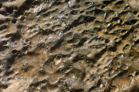 rock patternの写真素材