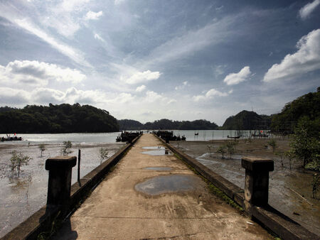 The bridgeの写真素材