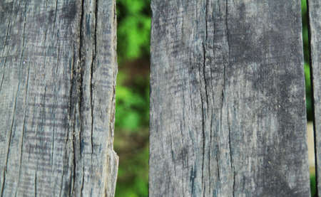 Wood plank and leaves in the backgroundの写真素材