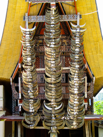Row of Buffalo Horns in a Traditional Torajan House. Kete Kesu Village in Tana Toraja, Sulawesi, Indonesia.の写真素材