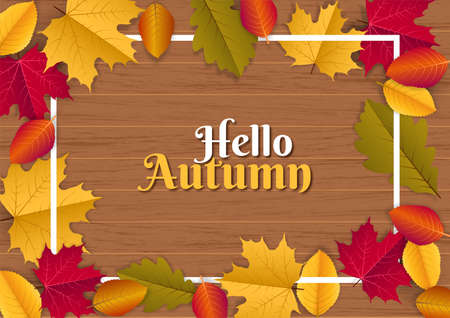 Autumn seasonal holiday illustration with scattered leavesのイラスト素材