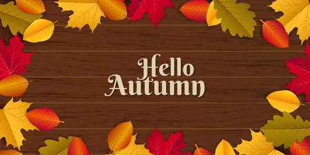 Hello Autumn illustration with scattered autumn leavesのイラスト素材
