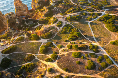 Aerial view of vegetation crossed by trails at coast of Algarve, Portugalの写真素材