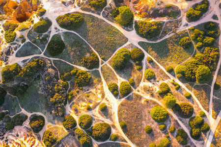 Aerial view of coastal vegetation crossed by trails, Algarve, Portugalの写真素材
