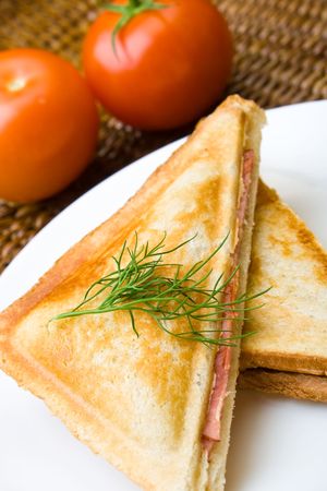 Freshly toasted cheese and ham sandwich with tomatoesの写真素材