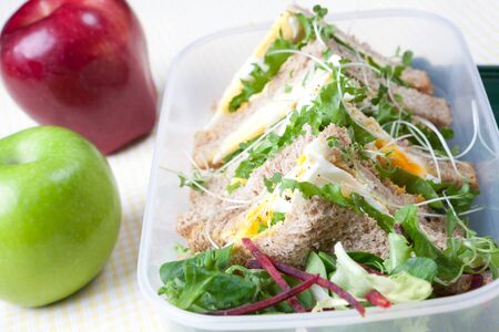 Healthy egg sandwich for lunch with an apple in a lunch boxの写真素材
