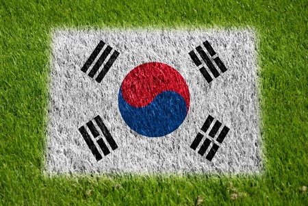 flag of korea on grass with sprayの写真素材