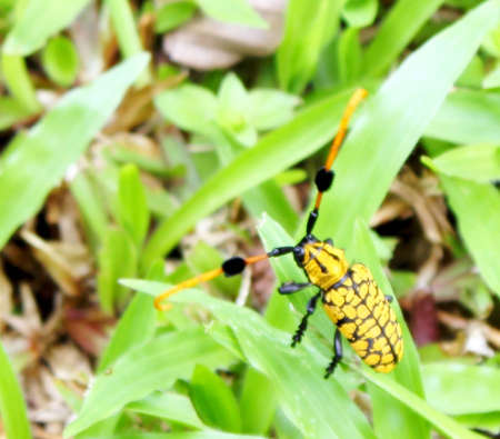 Bug lifeの写真素材