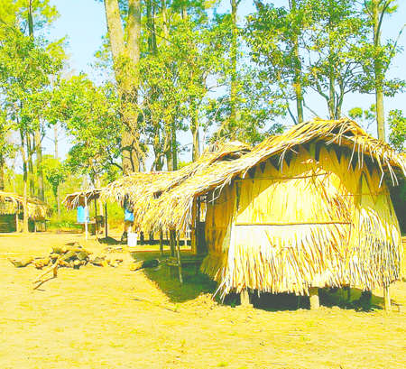 Cottage at Thailand National parkの写真素材