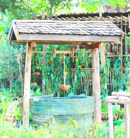 Decoration in the gardenの写真素材
