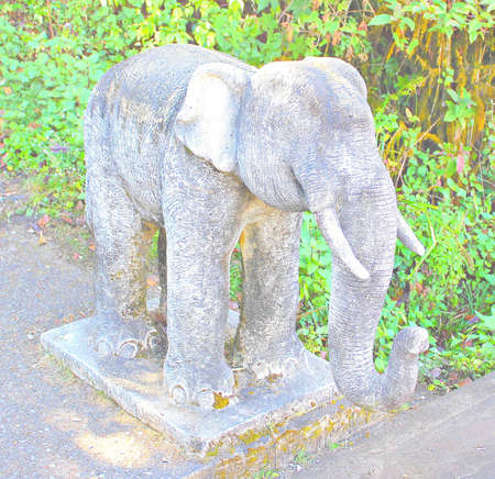 Garden decorationの写真素材