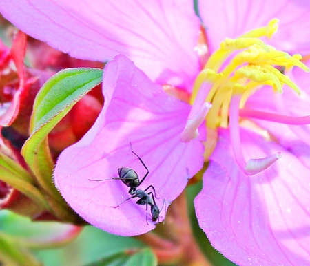 In the gardenの写真素材
