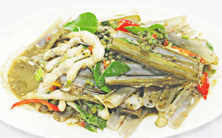 Solen regularisの写真素材