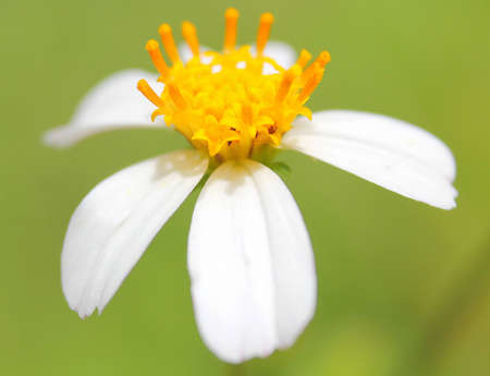 In the gardenの写真素材
