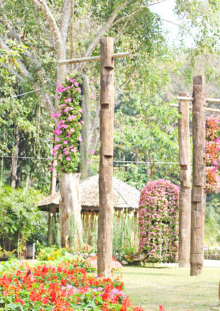Flowers decoration in the national parkの写真素材