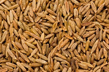 Background texture of fennel seeds.の写真素材