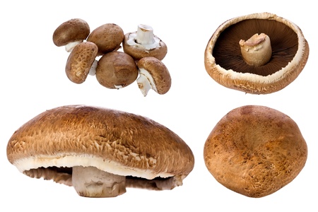 Composite of a large portobello mushroom and several smaller ones against a white background.の写真素材