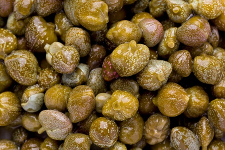 Background texture of several pickled caper buds.の写真素材