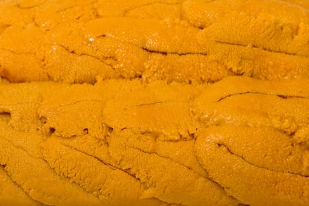 Background texture of fresh uni (sea urchin).の写真素材