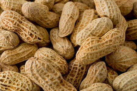 Background texture of whole unshelled sun-dried peanuts.