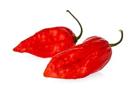 Two ghost peppers known as one of the hottest peppers in the world against a white background.の写真素材