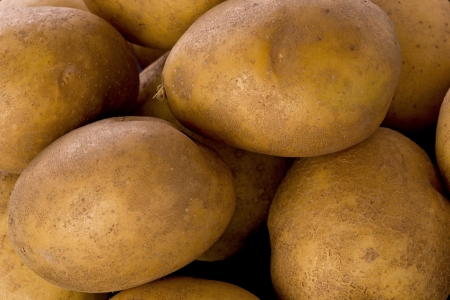 Background texture of several whole, small potatoes.の写真素材