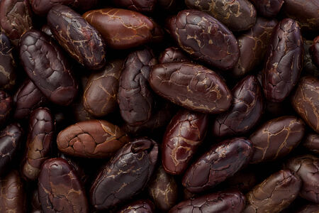 Background texture of whole roasted cacao nibs.の写真素材