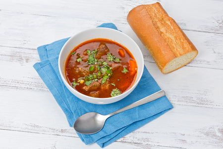Lemongrass beef stew in a white bowl, with a piece of baguette, on a white background.の写真素材