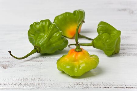 Four whole aji dulce peppers on a painted white background.の写真素材