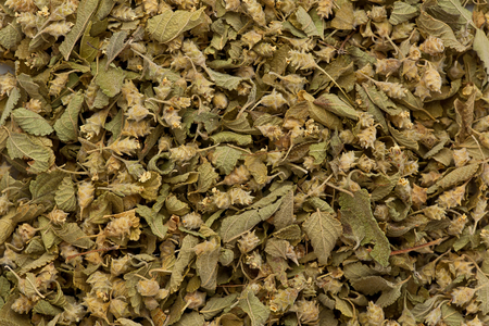 Background texture of dried mexican oregano.の写真素材