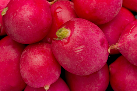 Background texture of several whole red radishes.の写真素材