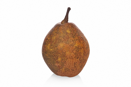 Whole Florida Sand pear against a white background.の写真素材