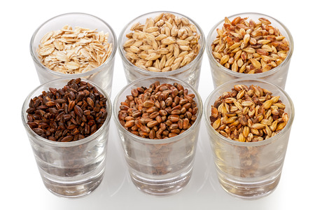 Six small glasses with assorted grains for brewing beer, against a white background.の写真素材