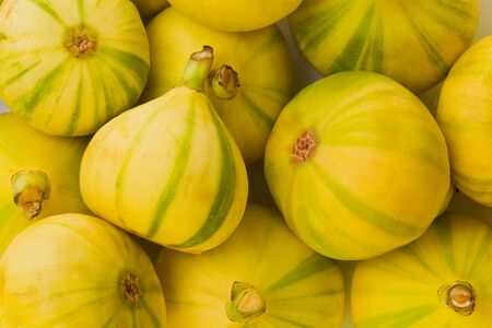 Background texture of Tiger striped figs, also known as Panache figs, and Candy striped figs.の写真素材
