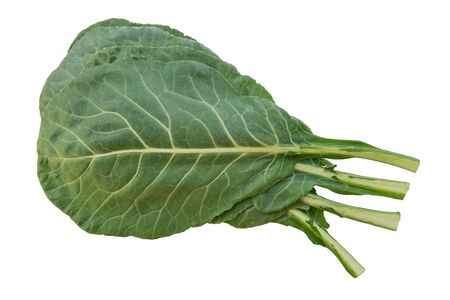 Several Collard greens against a white background.の写真素材