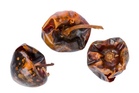 Three dried Cascabel chile peppers, also known as Rattle chile, against a white background.の写真素材