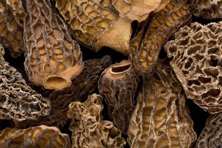 Background texture of several dried Morel, or Morchella, mushrooms.の写真素材