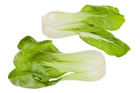 Two whole Bok Choy, or chinese cabbage greens against a white background.の写真素材
