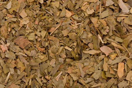 Background texture of dried Ginkgo leaves.の写真素材