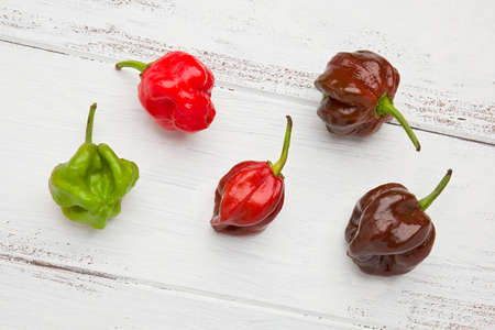 Five Chipotle chile peppers on a white painted background.の写真素材