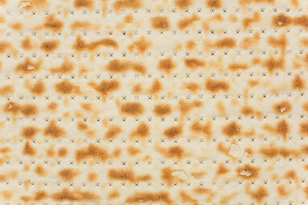 Background texture of a piece of Matzah, or unleavended flatbread.の写真素材