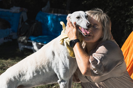 Happy and relaxed beautiful woman hugging her greyhoundの写真素材