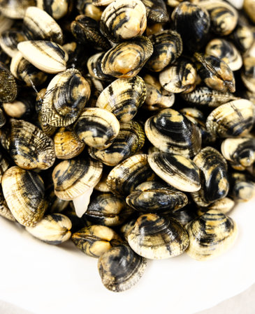 Close-up of a plate of delicious fresh clams of important size to be cooked in the kitchenの写真素材