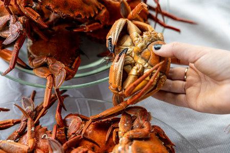 Plate of several sea crabs with girl's hand holding one of themの写真素材