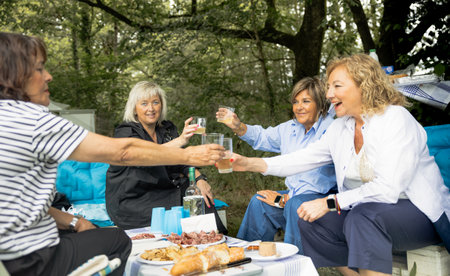 Four mature women friends smiling and toasting to their friendship during a picnic in the park, surrounded by food and greenery.の写真素材