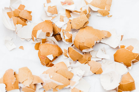Close-up of broken brown eggshells scattered on a white background.の写真素材